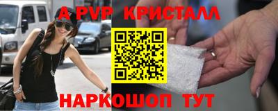 спиды Моздок