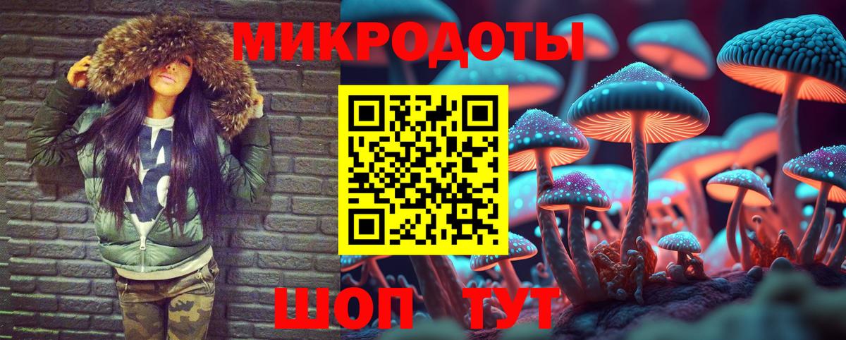 Псилоцибиновые грибы Psilocybine cubensis  Вход с VPN  Тайшет 